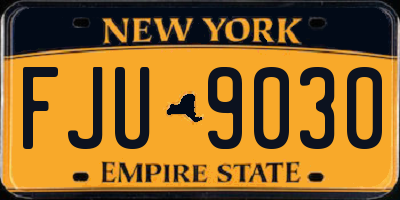 NY license plate FJU9030
