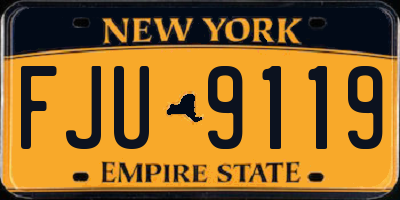 NY license plate FJU9119
