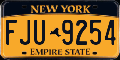 NY license plate FJU9254