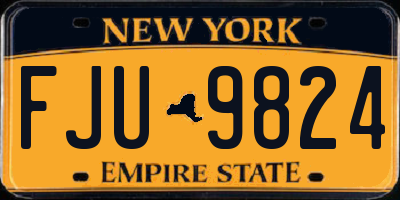 NY license plate FJU9824
