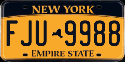 NY license plate FJU9988