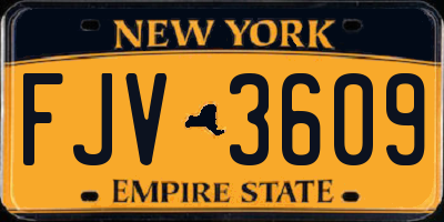 NY license plate FJV3609