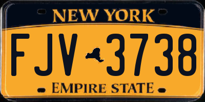 NY license plate FJV3738