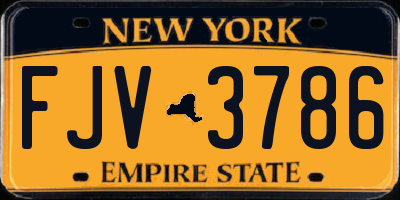 NY license plate FJV3786