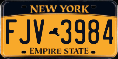 NY license plate FJV3984