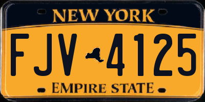 NY license plate FJV4125