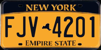 NY license plate FJV4201