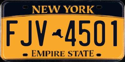NY license plate FJV4501