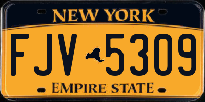 NY license plate FJV5309