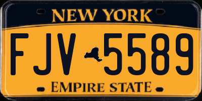 NY license plate FJV5589