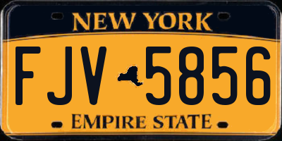 NY license plate FJV5856