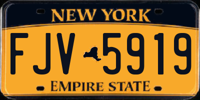 NY license plate FJV5919