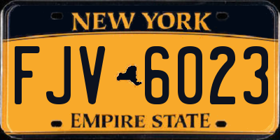 NY license plate FJV6023
