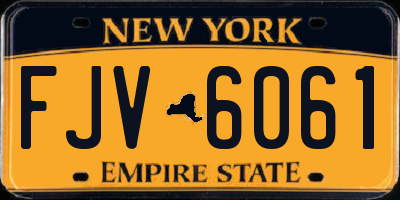 NY license plate FJV6061