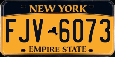 NY license plate FJV6073