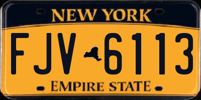 NY license plate FJV6113