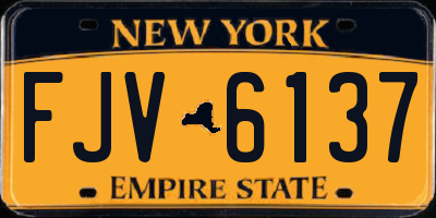 NY license plate FJV6137