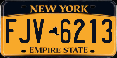 NY license plate FJV6213