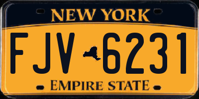 NY license plate FJV6231