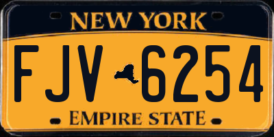 NY license plate FJV6254