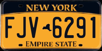 NY license plate FJV6291