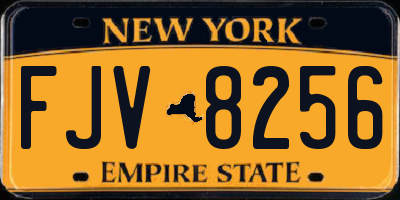 NY license plate FJV8256