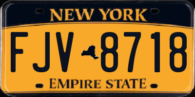 NY license plate FJV8718