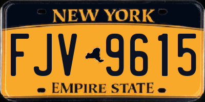 NY license plate FJV9615