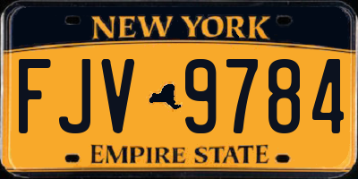 NY license plate FJV9784