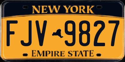 NY license plate FJV9827