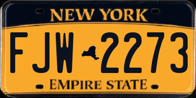 NY license plate FJW2273