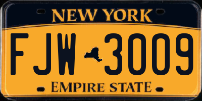 NY license plate FJW3009