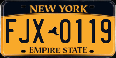 NY license plate FJX0119