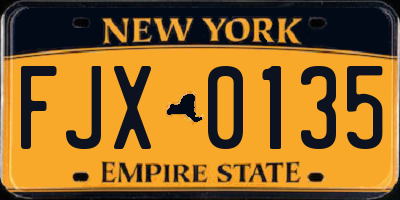 NY license plate FJX0135