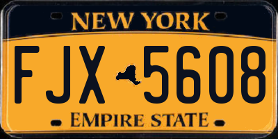 NY license plate FJX5608