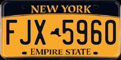 NY license plate FJX5960