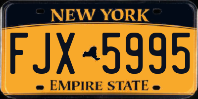 NY license plate FJX5995