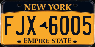 NY license plate FJX6005