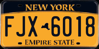 NY license plate FJX6018