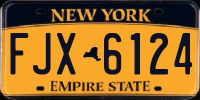 NY license plate FJX6124