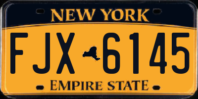 NY license plate FJX6145