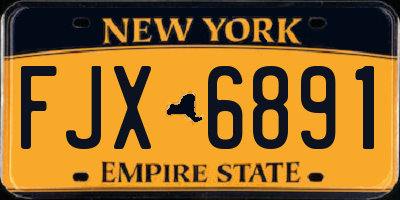 NY license plate FJX6891