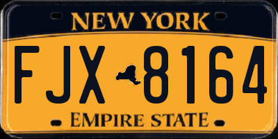 NY license plate FJX8164