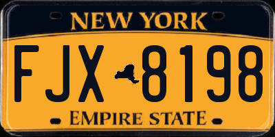 NY license plate FJX8198