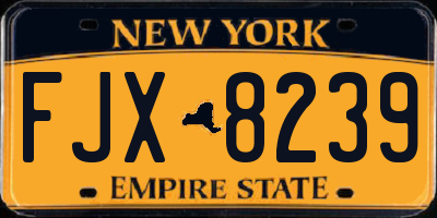 NY license plate FJX8239