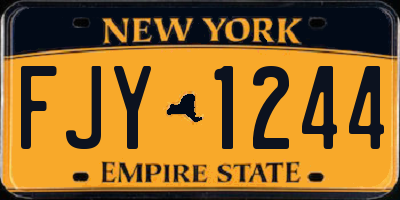 NY license plate FJY1244