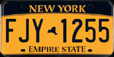 NY license plate FJY1255