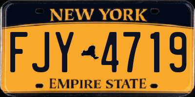 NY license plate FJY4719