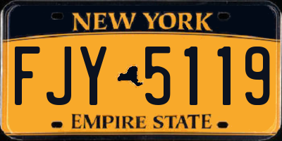 NY license plate FJY5119