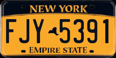 NY license plate FJY5391